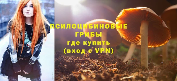 дмт Вяземский